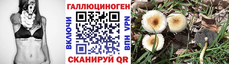 даркнет сайт  hydra онион  Псилоцибиновые грибы мухоморы  Кострома 